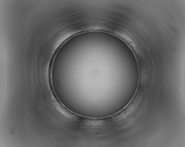 X0000112401039200908211111