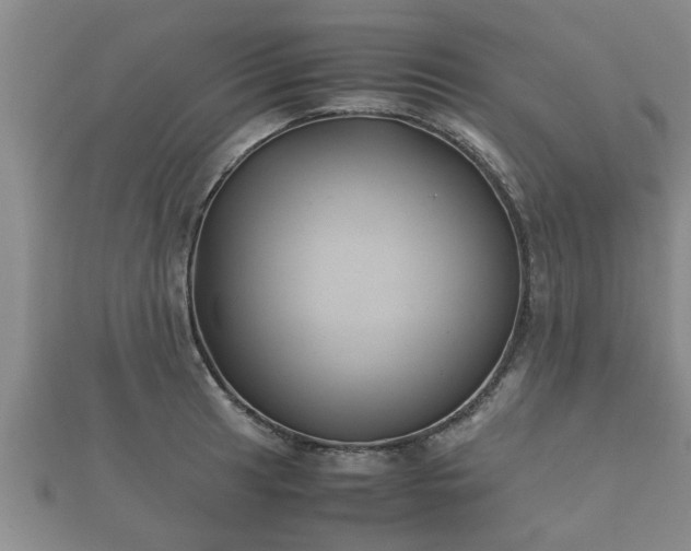 X0000112401041200908211111