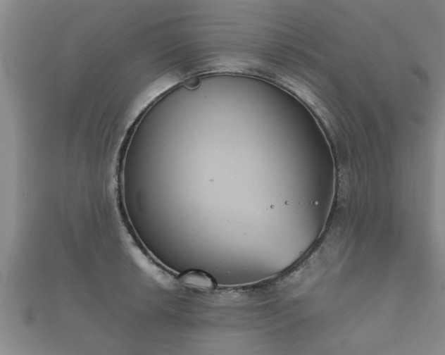X0000112401042200908211111