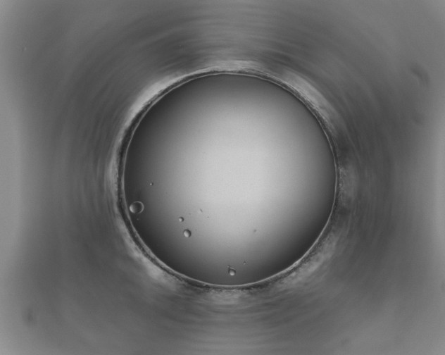 X0000112401046200908211111