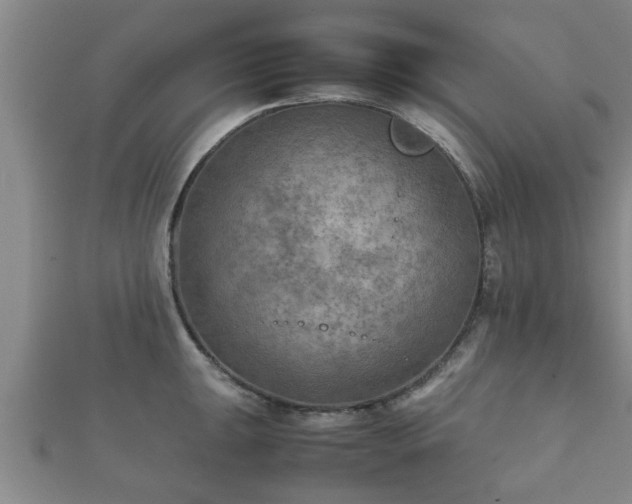 X0000112401047200908211111