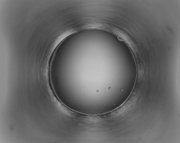 X0000112401050200908211111