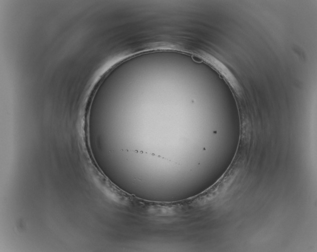 X0000112401051200908211111