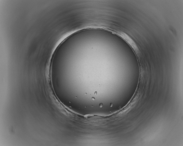 X0000112401052200908211111