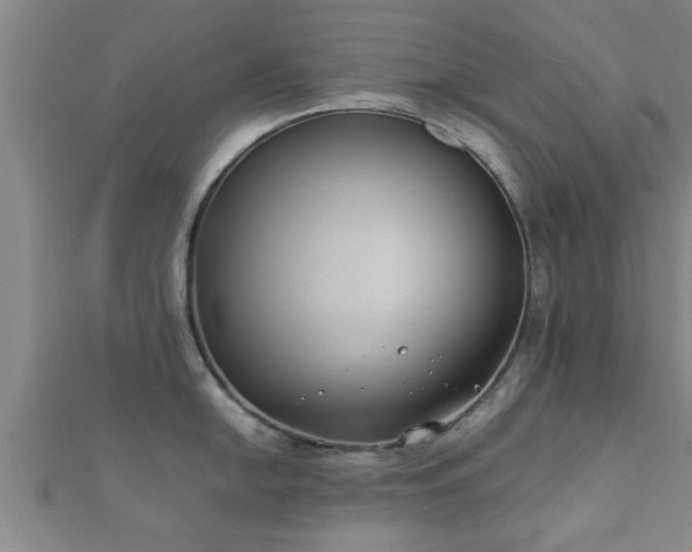 X0000112401054200908211111