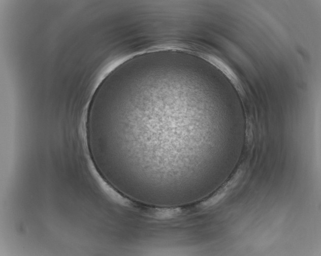 X0000112401055200908211111