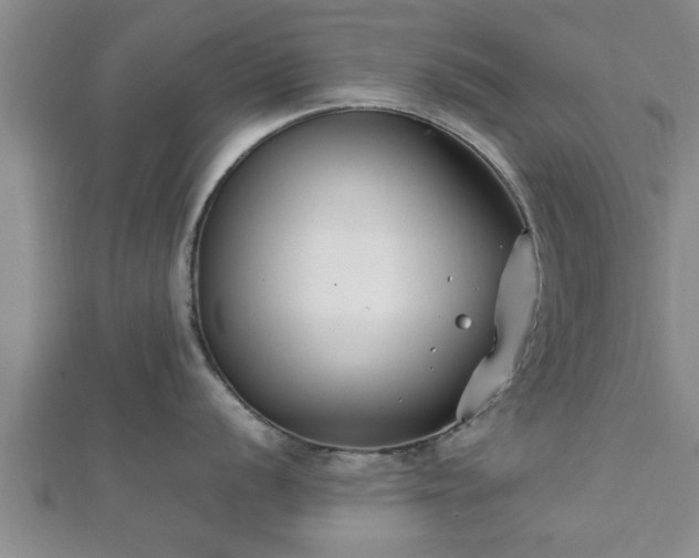 X0000112401056200908211111