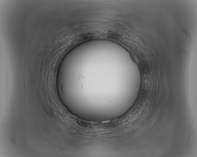 X0000112401057200908211110