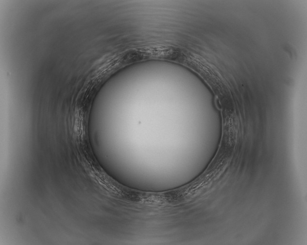 X0000112401058200908211110