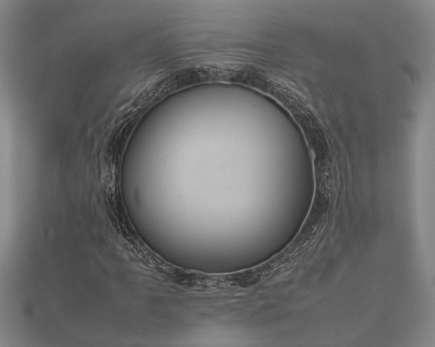 X0000112401061200908211110