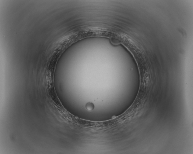 X0000112401062200908211110