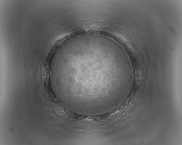 X0000112401063200908211110