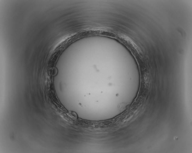 X0000112401064200908211110