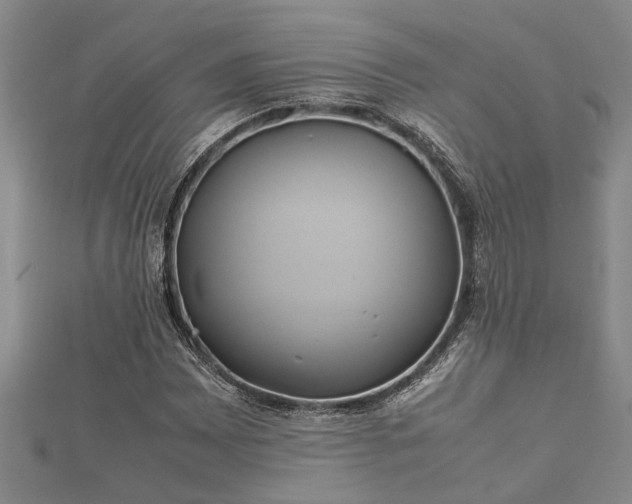 X0000112401065200908211110
