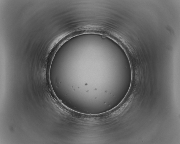 X0000112401066200908211110