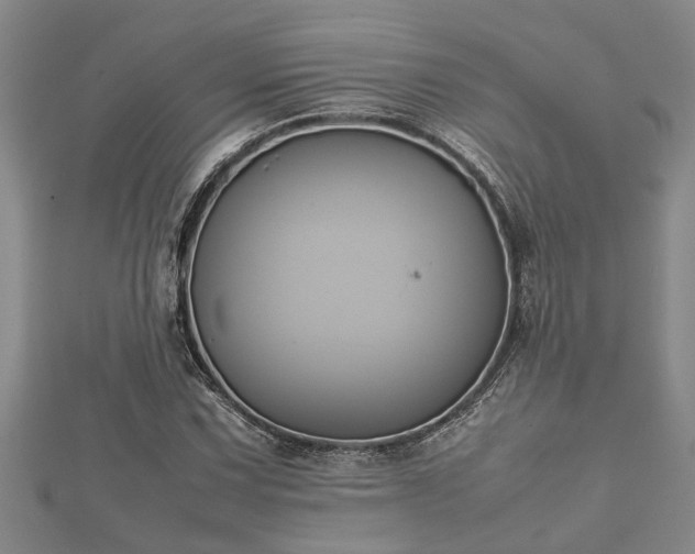 X0000112401067200908211110