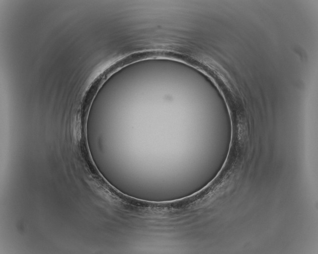 X0000112401069200908211110