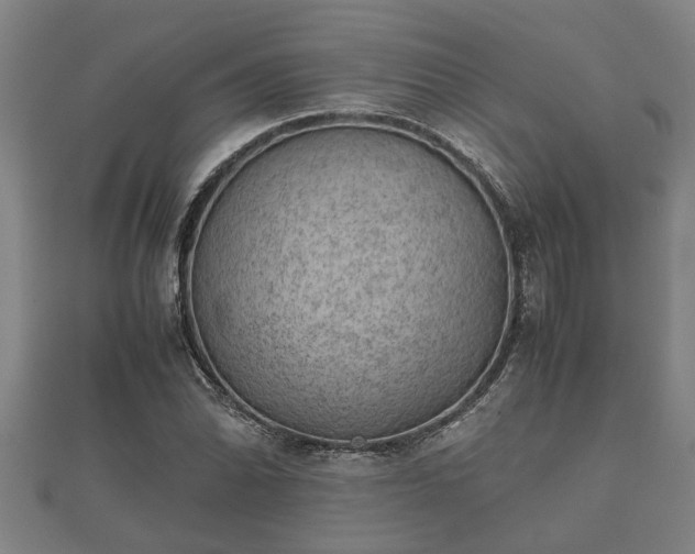 X0000112401070200908211110
