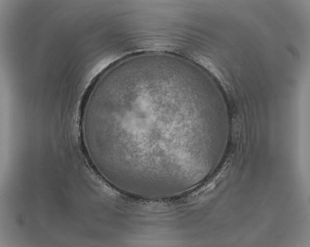X0000112401071200908211110