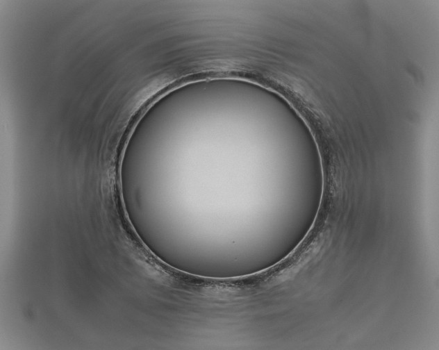X0000112401073200908211110