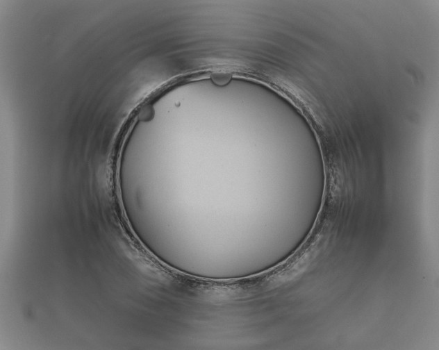 X0000112401074200908211110