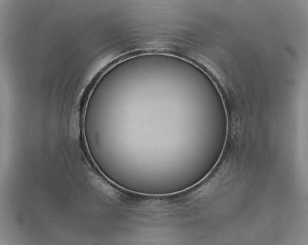 X0000112401075200908211110