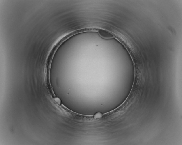 X0000112401076200908211110