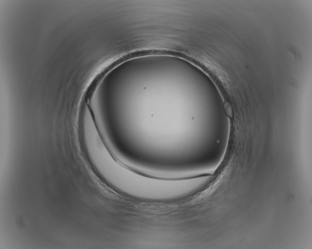 X0000112401077200908211110