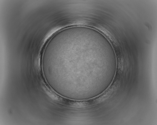 X0000112401078200908211110