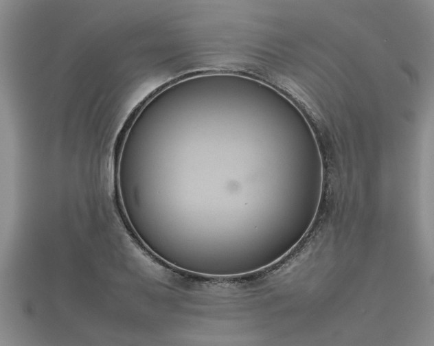 X0000112401079200908211110