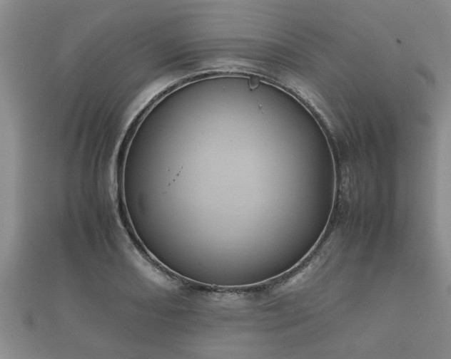 X0000112401082200908211110