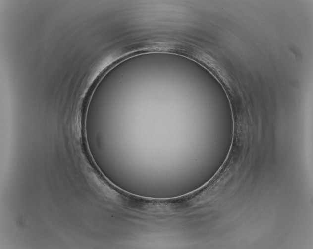 X0000112401083200908211110