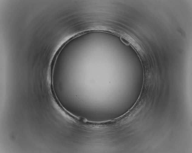 X0000112401084200908211110