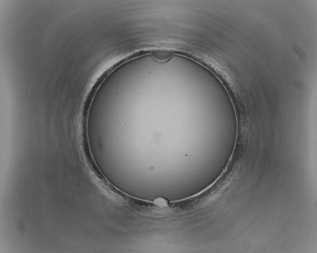 X0000112401085200908211110
