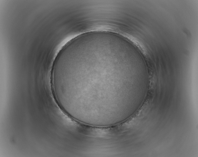 X0000112401086200908211110