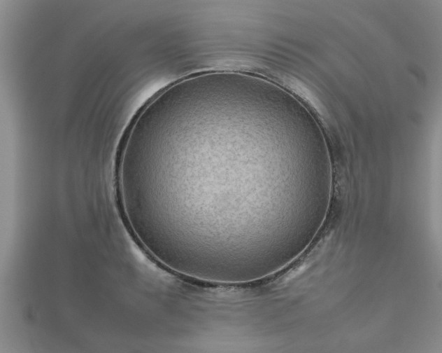 X0000112401087200908211110