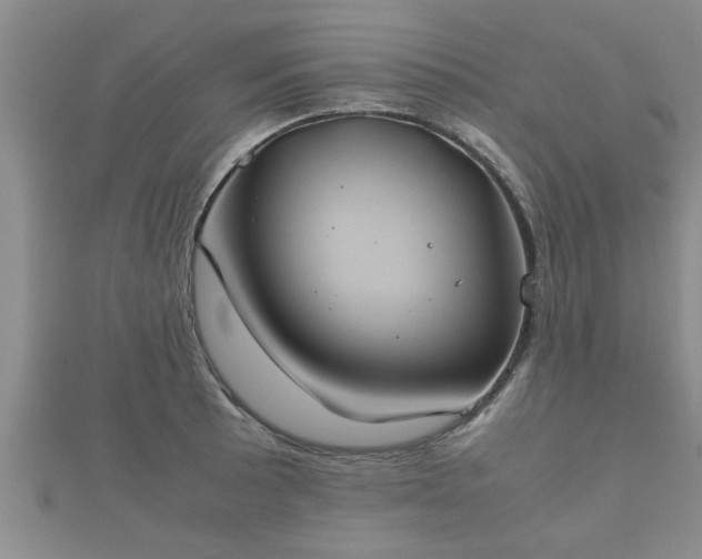 X0000112401089200908211110