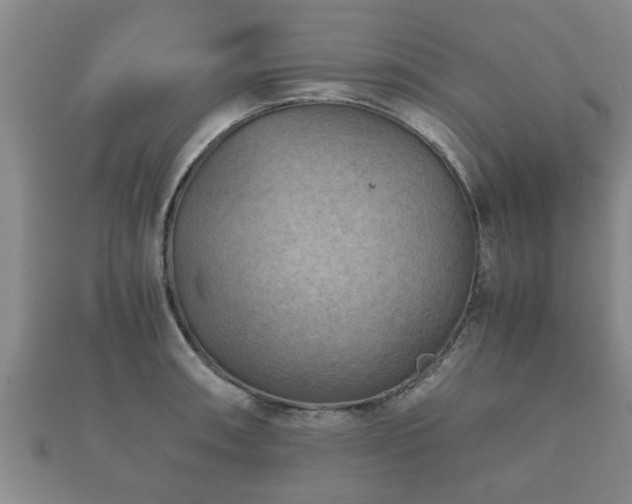 X0000112401090200908211110