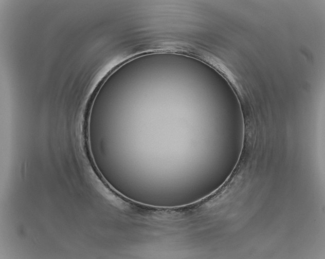 X0000112401091200908211110