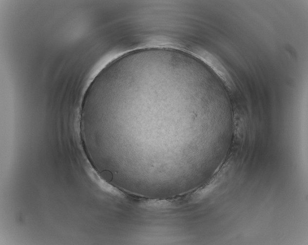 X0000112401094200908211110