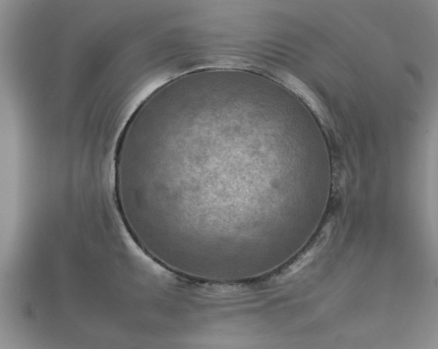 X0000112401095200908211110