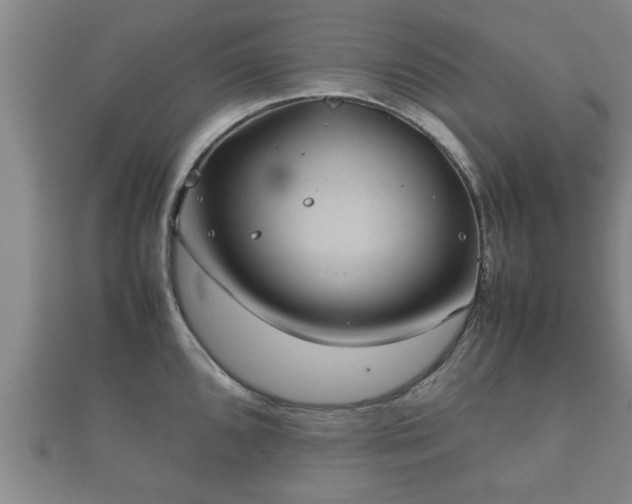 X0000112401096200908211110