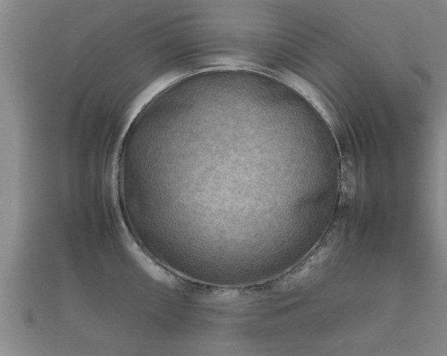 X0000112401098200908211110