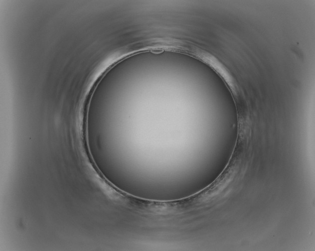 X0000112401099200908211110