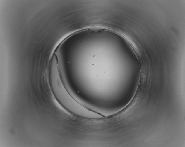 X0000112401100200908211110