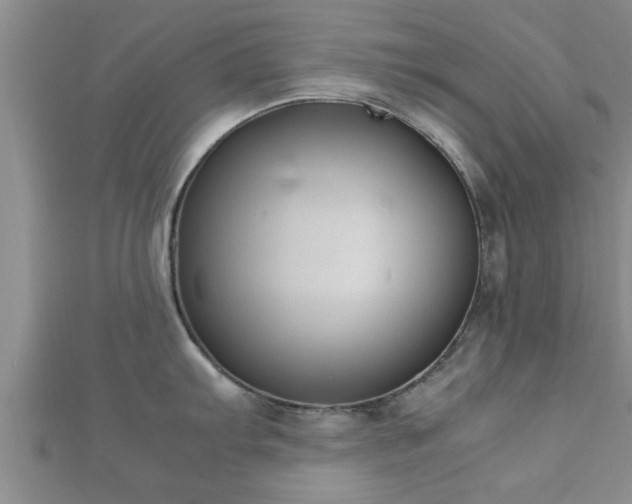 X0000112401103200908211110