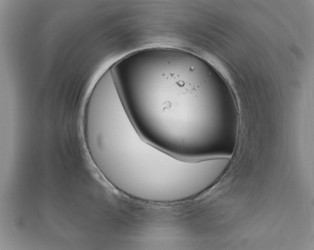 X0000112401104200908211110