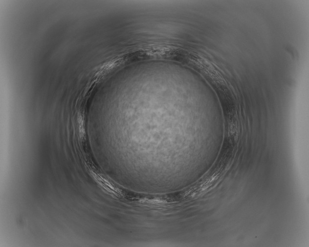 X0000112401106200908211109