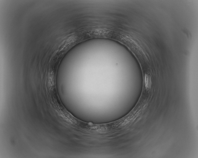 X0000112401107200908211109
