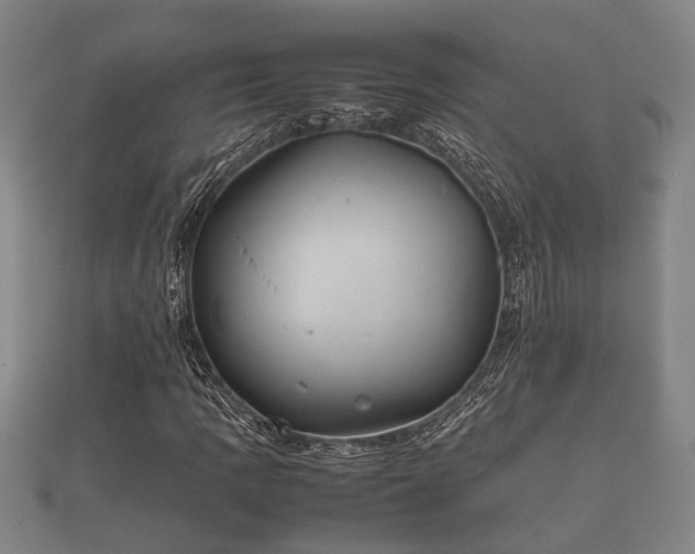 X0000112401109200908211109